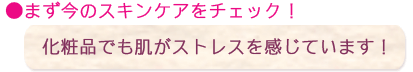 ���ϕi���X�g���X�̌��ɂȂ鎖��