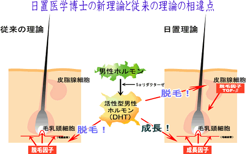 日置医学博士の理論