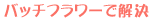 �o�b�`�t�����[�����f�B�ŉ���