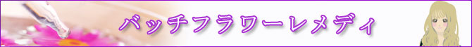 �o�b�`�t�����[�����f�B