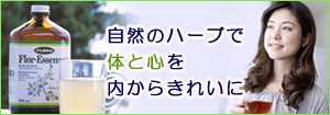 �t���[�G�b�Z���X�{
