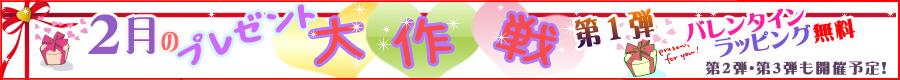 �o�b�`�t�����[�����f�B�@�o�����^�C��