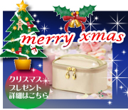 クリスマスプレゼント