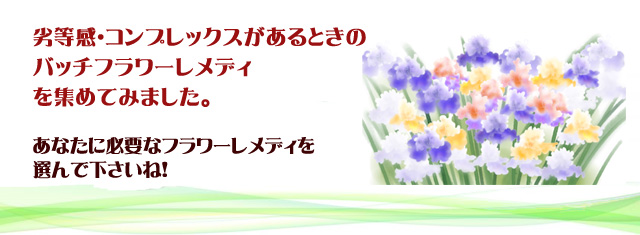 劣等感やコンプレックスのバッチフラワーレメディ　感情別　バッチフラワーレメディ★ハーブレンド