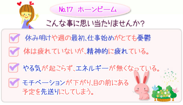 バッチフラワーレメディ　こんな事に思い当たりませんか？・休み明けの週の最初、仕事始めの日がとても憂鬱・体は疲れていないが、精神的に疲れている・やる気が起こらず、エネルギーが無くなっている・モチベーションが下がり、目の前にある予定を先送りにしてしまう