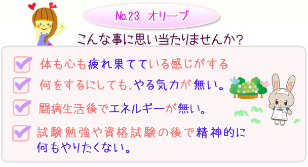 バッチフラワーレメディ　こんな事に思い当たりませんか？・体も心も疲れ果てている感じがする・何をするにしても、やる気力が無い・闘病生活後でエネルギーが無い・試験勉強や資格試験の後で精神的に何もやりたくない