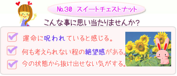 バッチフラワーレメディ・運命に呪われていると感じる・何も考えられない程の絶望感がある・今の状態から抜け出せない気がする