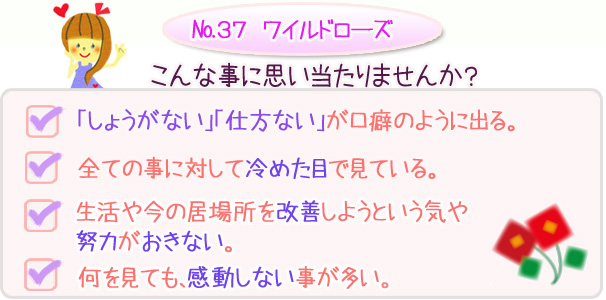 バッチフラワーレメディ　こんな事に思い当たりませんか？・「しょうがない」「仕方ない」が口癖のように出る・全ての事に対して冷めた目で見ている事がある・生活や今の居場所を改善しようという気や努力がおきない・何を見ても、感動しない事が多い