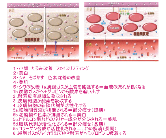 メディプローラーAA　酸素パック（ジェルパック）でエイジングケア