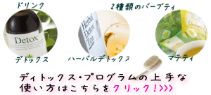 �f�B�g�b�N�X�E�v���O�����̏��Ȏg�����͂�����