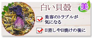 「モーリスメセゲ」オーガニックハーブティ白い貝殻